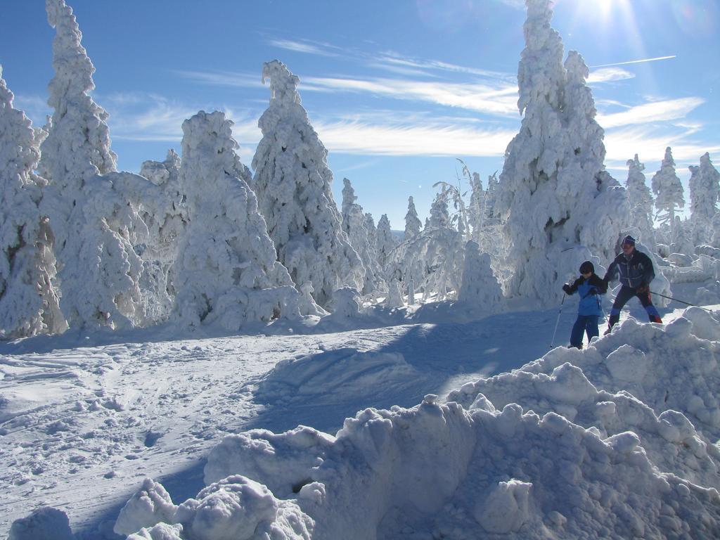 Apartments - Lehmanns Ferienwohnungen Oberwiesenthal Dış mekan fotoğraf
