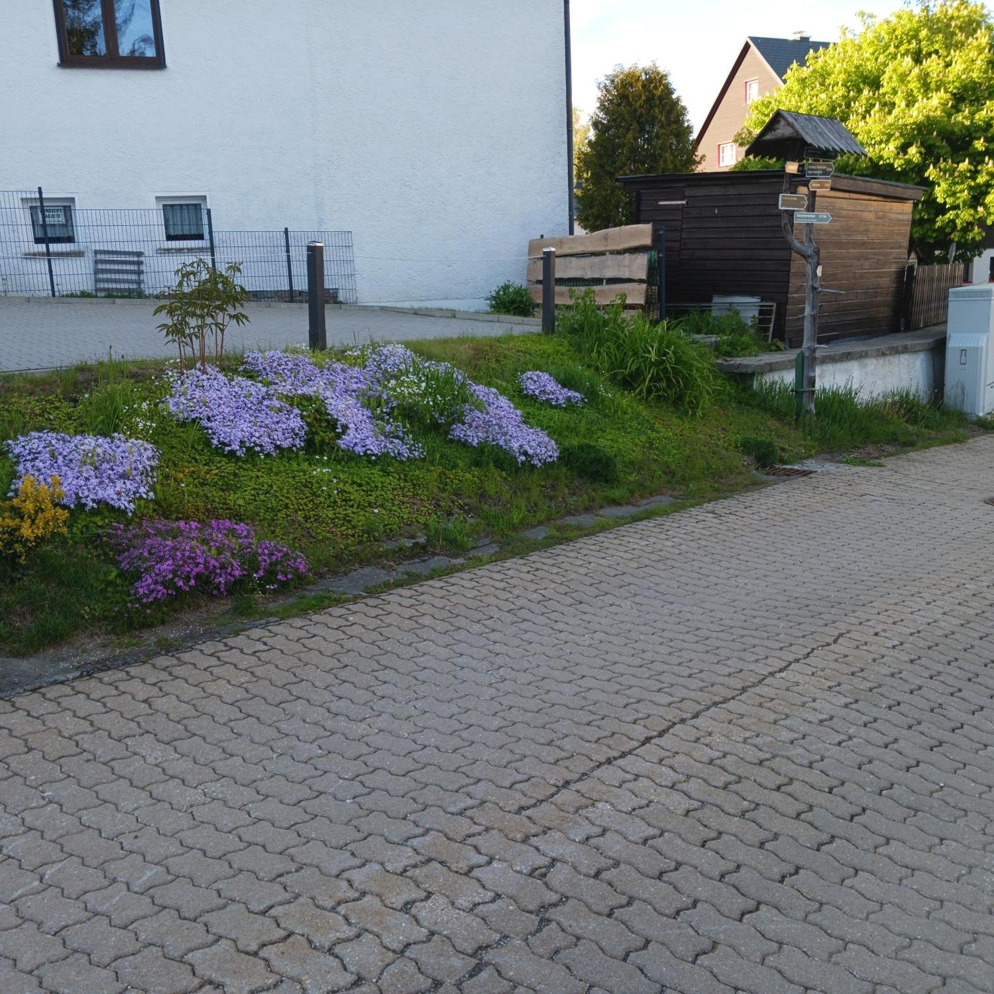 Apartments - Lehmanns Ferienwohnungen Oberwiesenthal Dış mekan fotoğraf